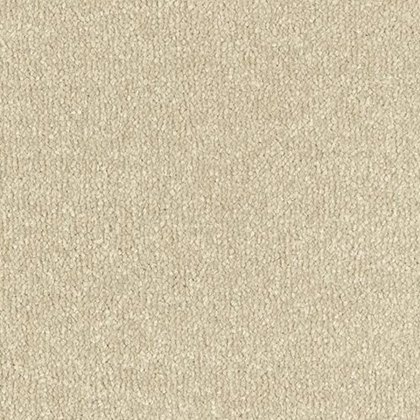 Stainfree Twist In Manor House Carpet Stainfree Twist In Manor House Carpet