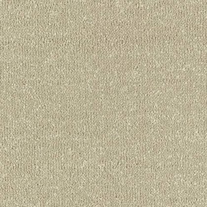 Stainfree Twist In Moccasin Carpet Stainfree Twist In Moccasin Carpet