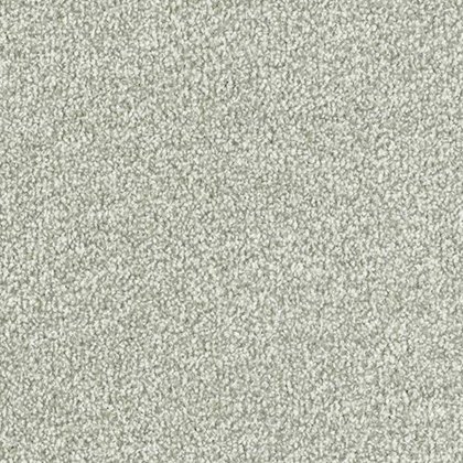 Stainfree Twist In Soft Shadow Carpet Stainfree Twist In Soft Shadow Carpet