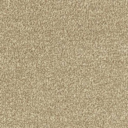Stainfree Ultra In Biscotti Carpet Stainfree Ultra In Biscotti Carpet