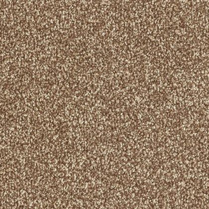 Stainfree Ultra In Chateau Carpet Stainfree Ultra In Chateau Carpet