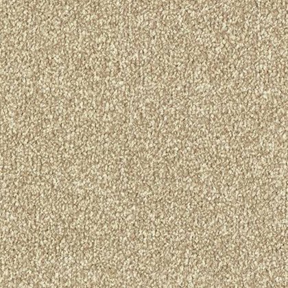 Stainfree Ultra In Latte Carpet Stainfree Ultra In Latte Carpet