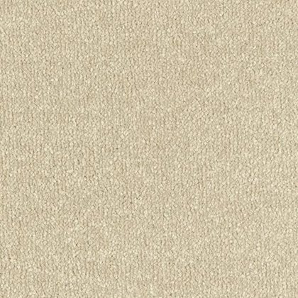 Stainfree Ultra In Manor House Carpet Stainfree Ultra In Manor House Carpet