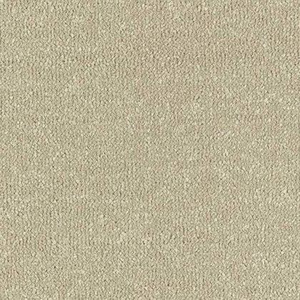 Stainfree Ultra In Moccasin Carpet Stainfree Ultra In Moccasin Carpet