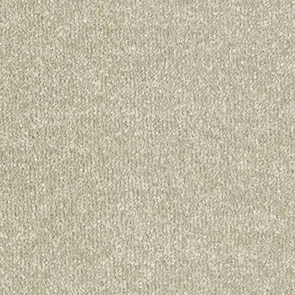 Stainfree Ultra In Olive Grove Carpet Stainfree Ultra In Olive Grove Carpet