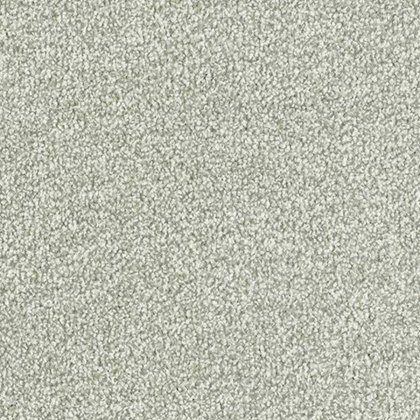 Stainfree Ultra In Soft Shadow Carpet Stainfree Ultra In Soft Shadow Carpet