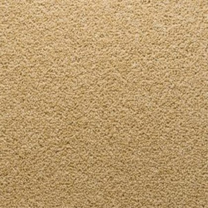 Stateside In Florida Carpet Stateside In Florida Carpet