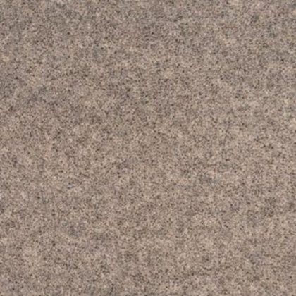 Super Maxim In Colt Grey Carpet Super Maxim In Colt Grey Carpet