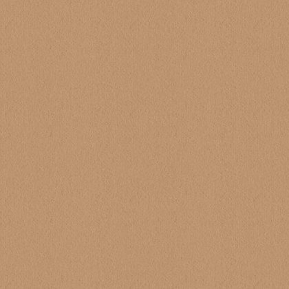 Ulster Velvet In Champagne Carpet Ulster Velvet In Champagne Carpet