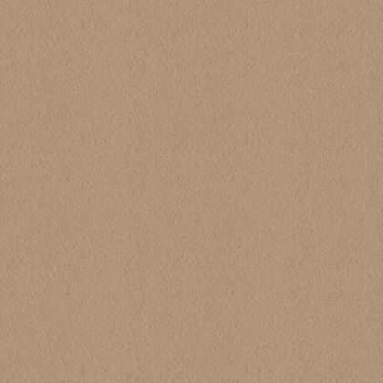 Ulster Velvet In Oatmeal Carpet Ulster Velvet In Oatmeal Carpet