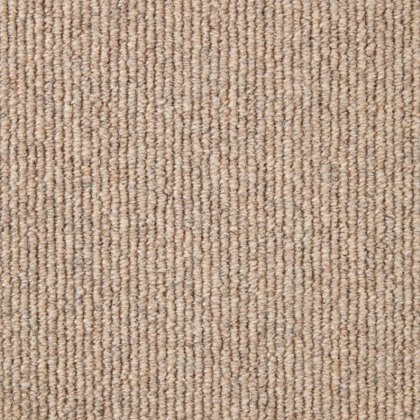 Wembley In Arena Ginger Carpet