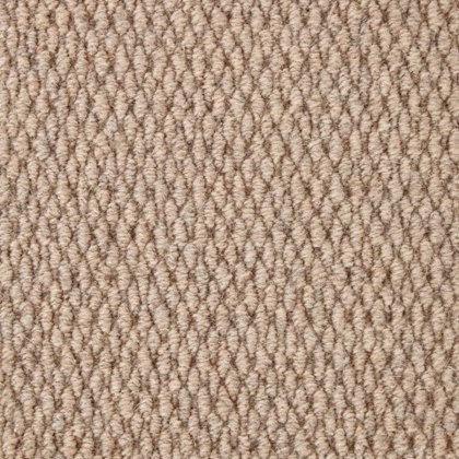 Wembley In Stadium Ginger Carpet