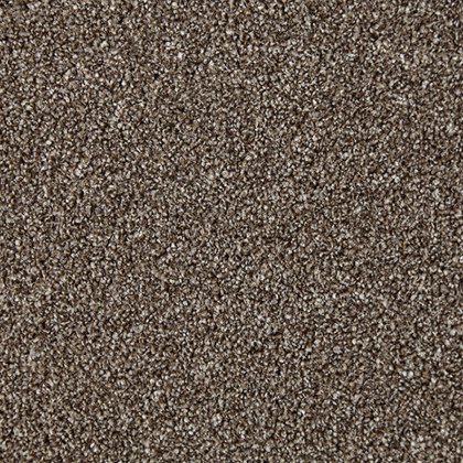 Withorn Heathers In Carob Carpet Withorn Heathers In Carob Carpet
