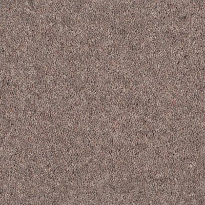 Aldiss Tradition Twist in Koala Carpet Aldiss Tradition Twist in Koala Carpet