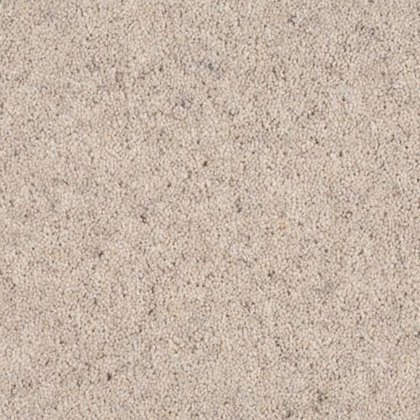 Aldiss Tradition Twist in Oatmeal Carpet
