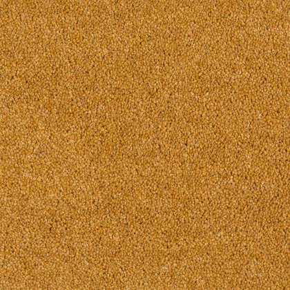 Aldiss Tradition Twist in Old Gold Carpet