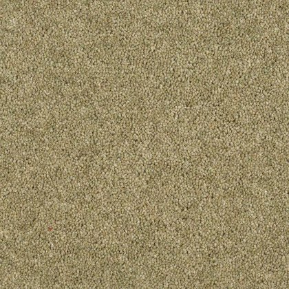 Aldiss Tradition Twist in Olive Garden Carpet Aldiss Tradition Twist in Olive Garden Carpet