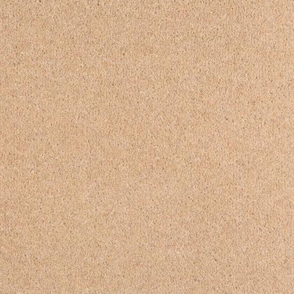 Aldiss Tradition Twist in Papaya Carpet Aldiss Tradition Twist in Papaya Carpet