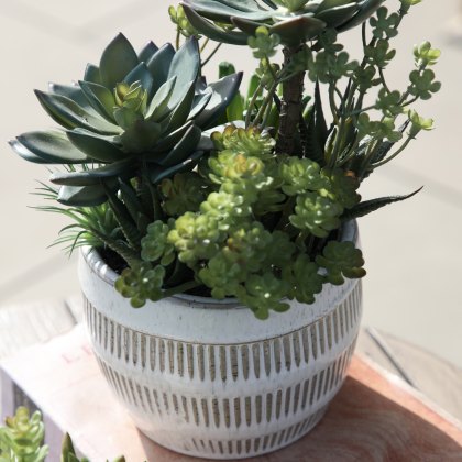 Gallery Direct Potted Succulents Ceramic Pot Green & Brown