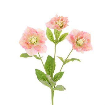 Floralsilk Mauve & Green Hellbore Spray Floralsilk Mauve & Green Hellbore Spray