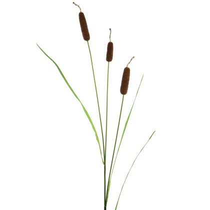 Floralsilk Large Bull Rush Floralsilk Large Bull Rush