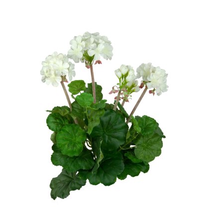 Floralsilk Geranium Bush Floralsilk Geranium Bush