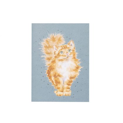 Wrendale Just Purrr-Fect Cat A6 Notebook