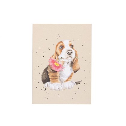 Wrendale Just For You Basset Hound A6 Notebook
