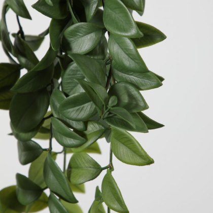 Gallery Direct Hanging Philodendron Bush Small