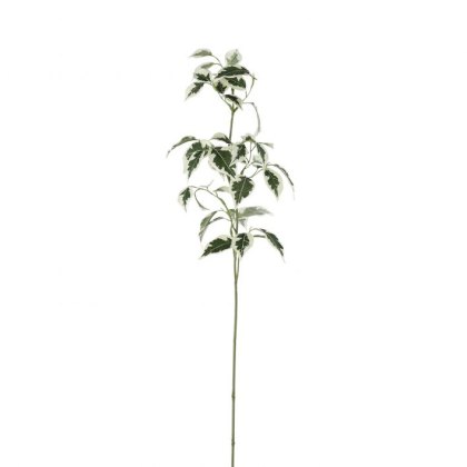 Gallery Direct Variegated Ficus Stem Green