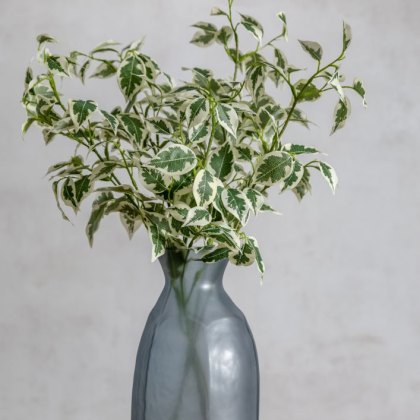 Gallery Direct Variegated Ficus Stem Green
