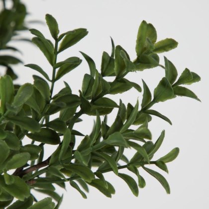 Gallery Direct Buxus Bush Spray Green