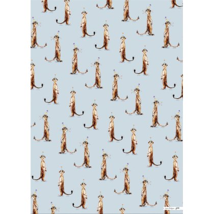 Glick Meerkats Gift Wrap