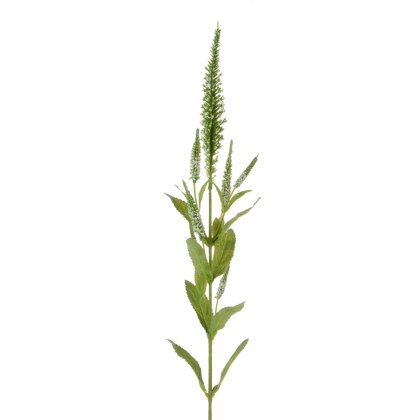 Floralsilk Cream Veronica Spray Floralsilk Cream Veronica Spray