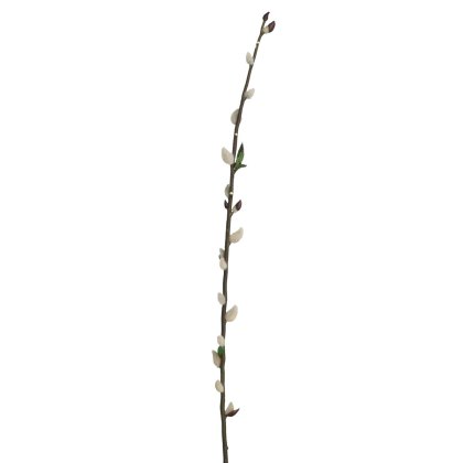 Floralsilk Pussy Willow Floralsilk Pussy Willow