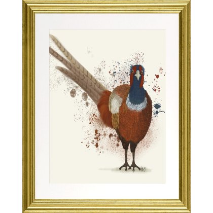 Pheasant Splash 1 Framed Canvas Pheasant Splash 1 Framed Canvas
