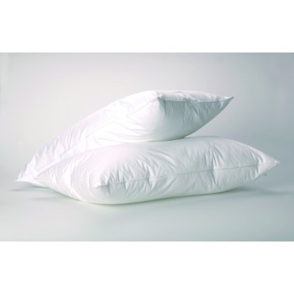 Dreamworld Softened Duck Feather Down Pillow