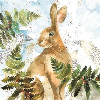 Almanac Watercolour Animal Christmas Cards