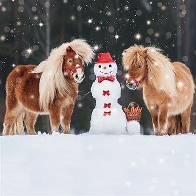 Darkroom Snowman & Pony's Christmas Cards