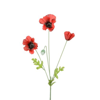 Floralsilk Red Poppy Floralsilk Red Poppy