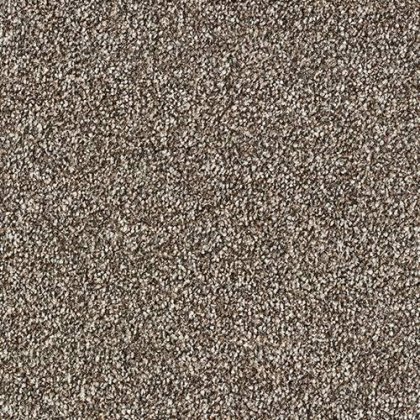 Stainfree Rustique Twist Carpet Chocolate Box Stainfree Rustique Twist Carpet Chocolate Box