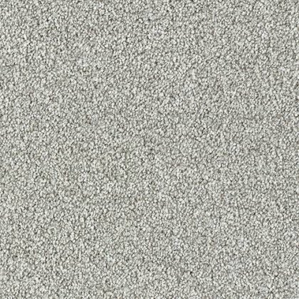 Stainfree Rustique Twist Carpet Greystone Stainfree Rustique Twist Carpet Greystone