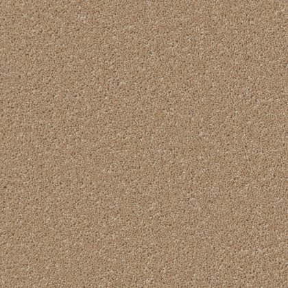 Perivale Supreme Carpet in Toffee Perivale Supreme Carpet in Toffee