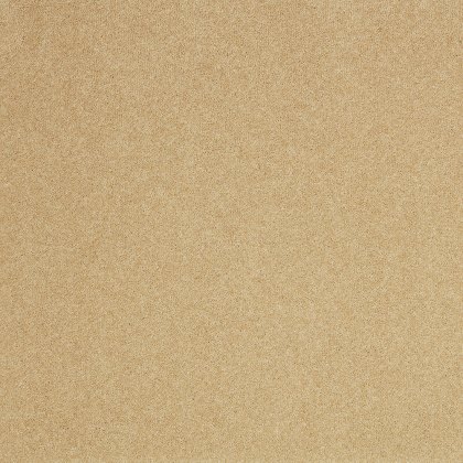 Pembroke Carpet in Wood Ash Pembroke Carpet in Wood Ash