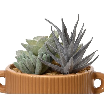 Kaemingk Succulent in a Terracotta Pot