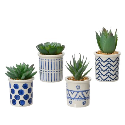 Kaemingk Succulent in a Pot Kaemingk Succulent in a Pot