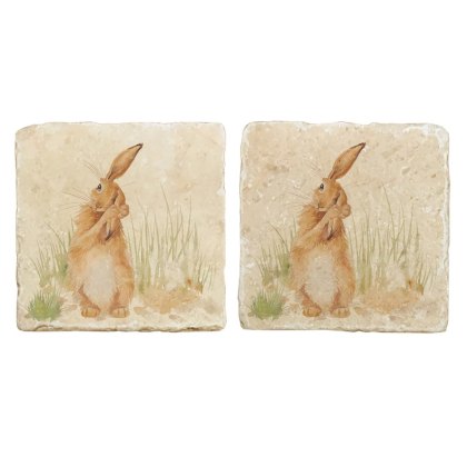 The Humble Hare Coaster Pair