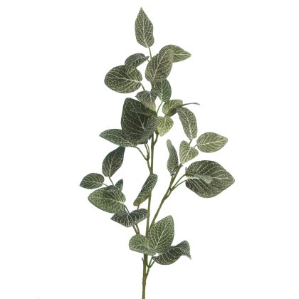Floralsilk Fittonia Spray Floralsilk Fittonia Spray