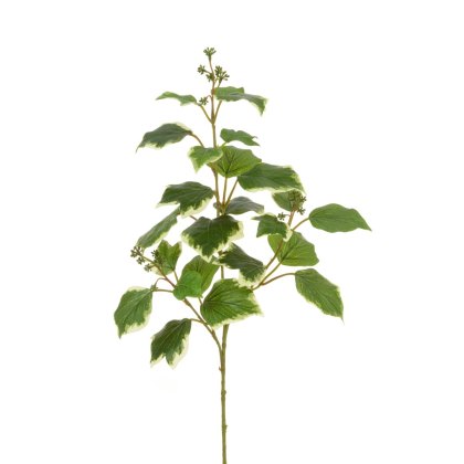 Floralsilk Variegated New French Ivy Spray Floralsilk Variegated New French Ivy Spray