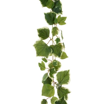 Floralsilk Variegated French Ivy Garland Floralsilk Variegated French Ivy Garland